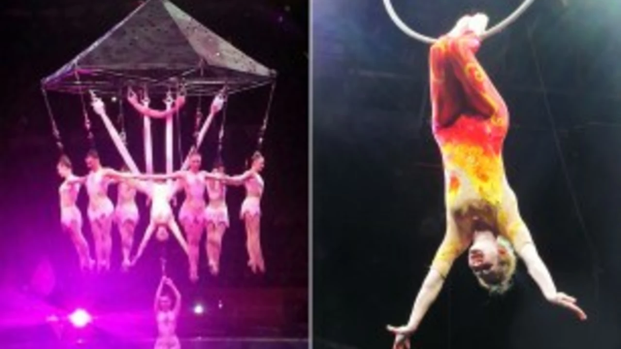 What are the most interesting circus acts?